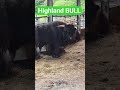 BiG fella