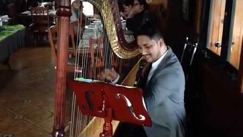 Efrain Ramos voz y arpa- cantando cover: "Amor Ete...