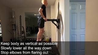Triceps Dips, Eccentric