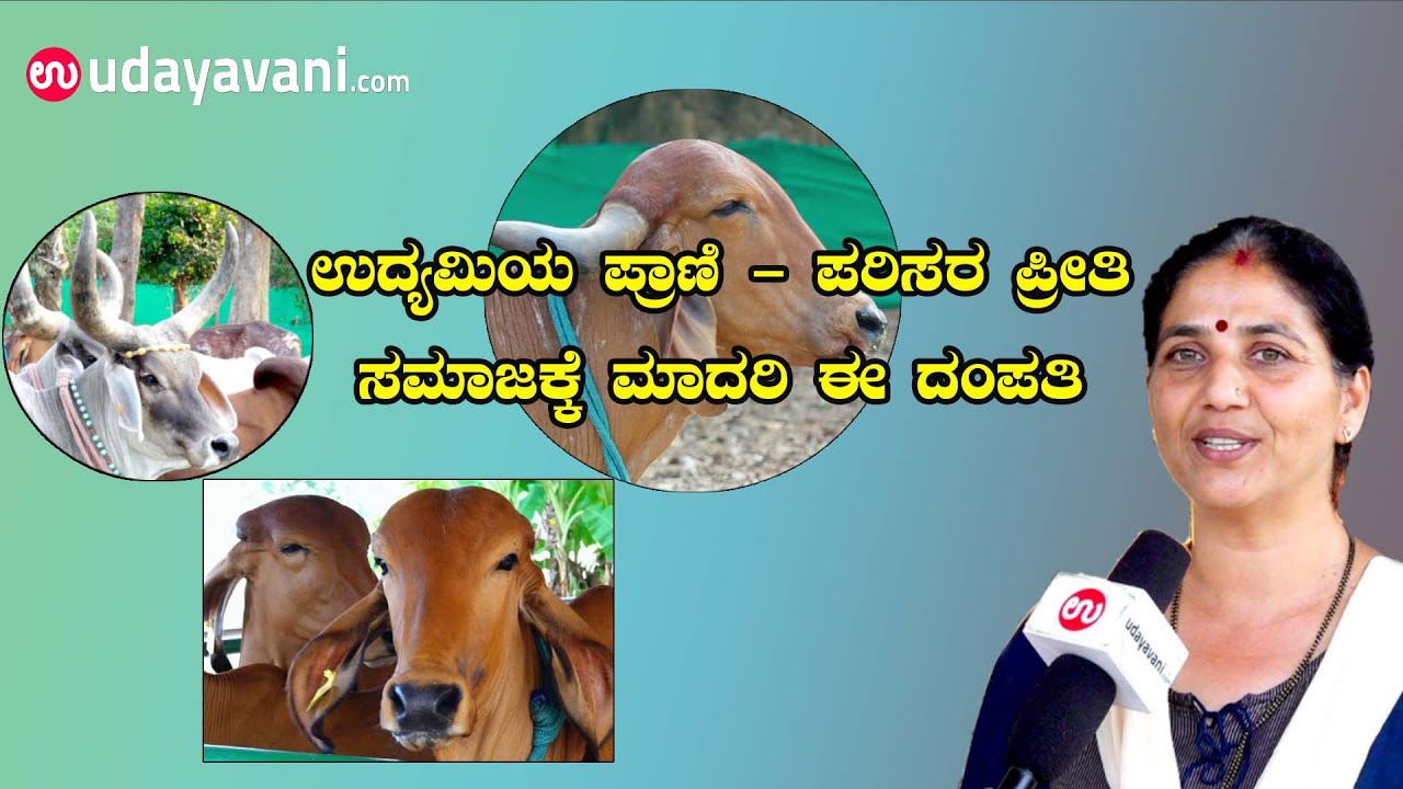 ಉದ್ಯಮಿಯ ಪ್ರಾಣಿ - ಪರಿಸರ ಪ್ರೀತಿ | A2 Milk in Sanjeevani Farms Muniyal