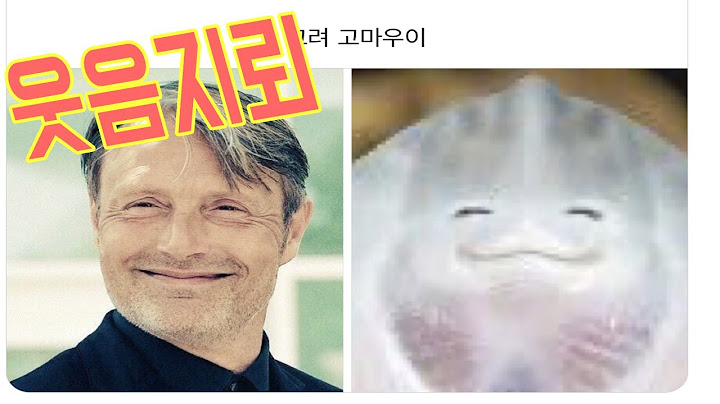 [웃음지뢰] 웃다 죽는다는 웃음지뢰짤ㅋㅋㅋㅋㅋㅋㅋㅋㅋㅋ