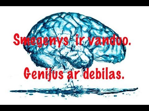 Video: Ar Genijus Prieinamas Visiems? Paslėptos Smegenys - Alternatyvus Vaizdas