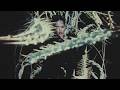 Bella Poarch Ribcage Official Music Video 