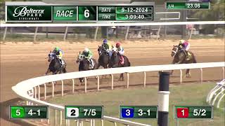 RACE 6 PROGRAM 9 12 2024