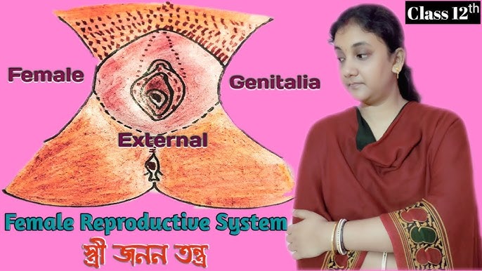 Kurenai porno videolar