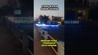 Download Lagu TAPEL WATES LOSARI #thineline #funny #lol #foryou #entertainment MP3