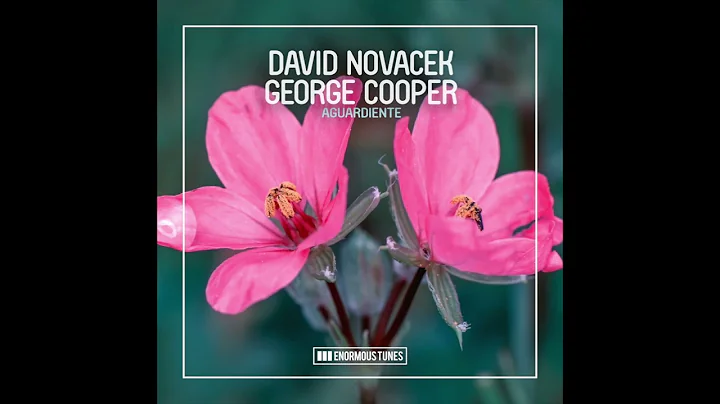 DAVID NOVACEK & GEORGE COOPER- Aguardiente (Origin...