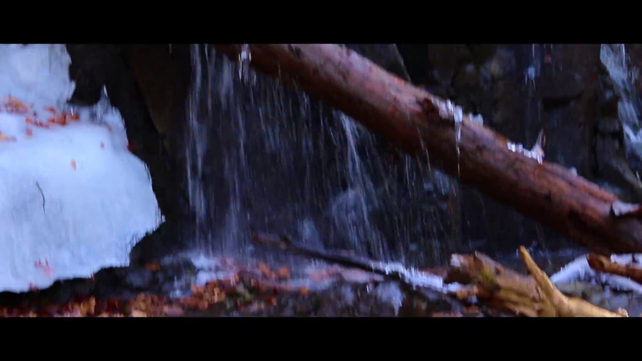 Canon SL2 Test Footage