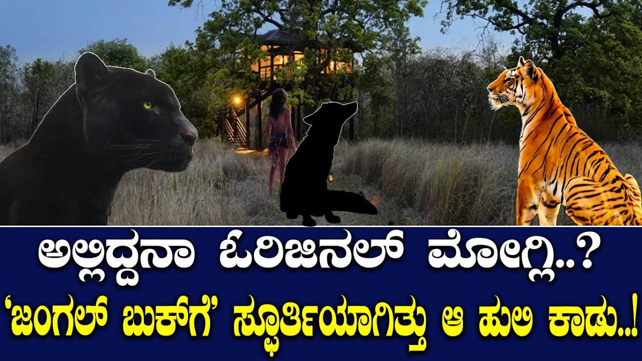 'ಜಂಗಲ್​ ಬುಕ್​ಗೆ' ಸ್ಫೂರ್ತಿಯಾಗಿತ್ತು ಆ ಹುಲಿ ಕಾಡು..! ಅಲ್ಲಿದ್ದನಾ ಓರಿಜಿನಲ್ ಮೋಗ್ಲಿ..?