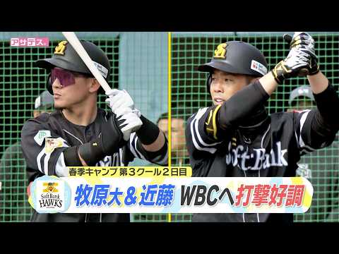 Spring training camp, Day 2 of the 3rd session: Taisei Makihara