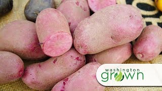Fingerling Potatoes | Washington Grown | S5E6