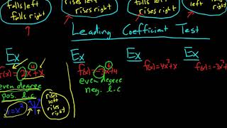 Celebrity End Behavior and the Leading Coefficient Test for Polynomials Wealth