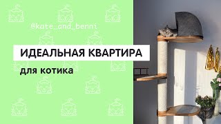 Какой должна быть идеальная квартира для котика?