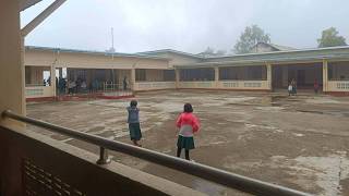 Ztv Dailynews  June 3 2026