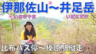 【奈良県宇陀市】比布バス停〜伊那佐山〜井足岳〜岳山〜近鉄榛原駅✨展望も縦走路も気持ちいい静かな山を満喫🌸麓は桜も満開でした