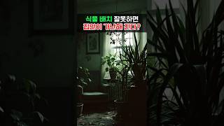 집안 식물 배치 잘못하면 가난을 부른다? #풍수 #풍수식물 #풍수인테러이 #풍수지리 #금전운 #재물운