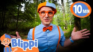 blippi great outdoors cars truck videos kids
