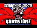 All Enemies Shoot BRIMSTONE - Custom Afterbirth+ Challenge