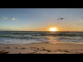 Beach Website Background Video