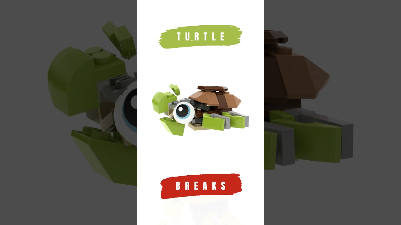 LEGO Turtle breaks into pieces!