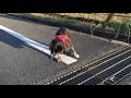 黒パグ(そら)散歩 排水側溝が怖くて渡ることができません その2