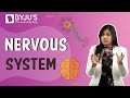 Nervous System: Control and Coordination