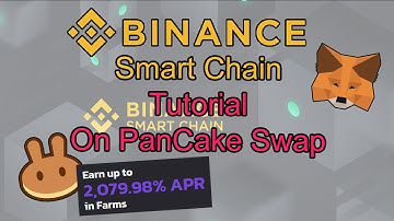 Binance Smart Chain (BSC) | Set Up On MetaMask & PanCake Swap Tutorial | Crazy ROI offered On PCS