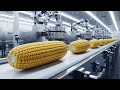 Inside a Modern Popcorn Factory: From Raw Maize to Popcorn | Full Process