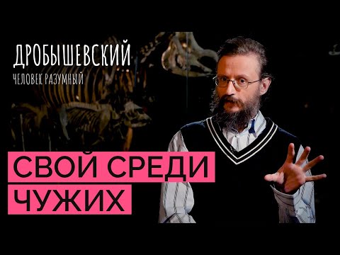 Обнимашки vs вражда: к какому поведению склонен человек? // Дробышевский. Человек разумный