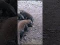 all gathered here