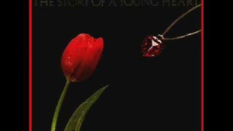 Thumbnail of 11 The More You Live The More You Love (Full Moon Mix)