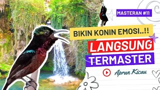 Download Lagu KOLIBRI NINJA GACOR FULL ISIAN JEDA MP3