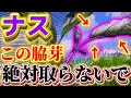 【ナス】この脇芽は取らないで!実を収穫する為に残しておくべき脇芽、取るべき脇芽についてお話します