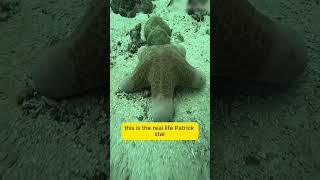 EXPLORING A SHIPWRECK AT 30M! 🚢 Underwater Ghost City in Semporna #shorts