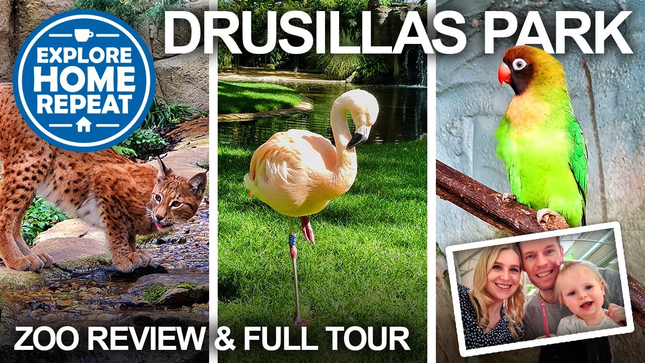 Drusillas Park ULTIMATE ZOO GUIDE Zoo Review & Tour UK Travel Vlog