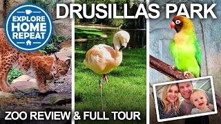 Drusillas Park ULTIMATE ZOO GUIDE | Zoo Review & Tour | UK Travel Vlog