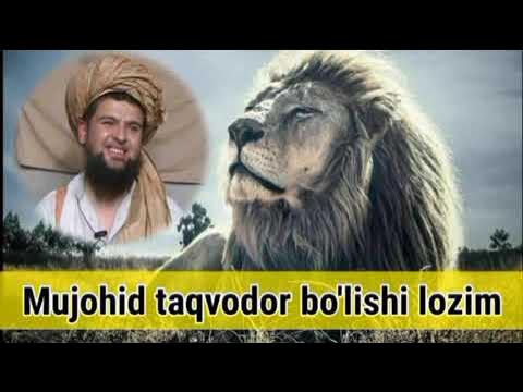 ZDFheute Nachrichten YouTube