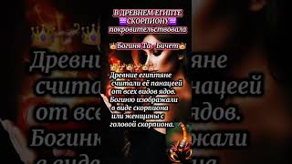 Почему Скорпион-особенный?#youtube #shortvideo #гороскоп#зодиак#астрология#планеты#звезды#созвездия#