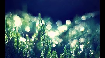 Solar fields -  The missing (origin 2006)