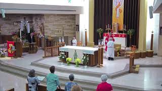 Celebration of Mass - Pentecost Sunday, 4:30 PM CDT