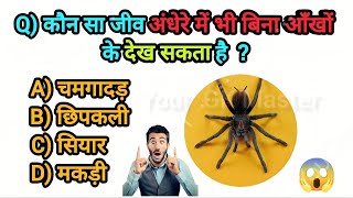GK Question | GK in Hindi | GK Question Answer | GK Quiz | BR GK Study @brgkstudy5858 