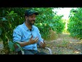 Capítulo 11 | Aníbal Herreros: ¿Por qué regamos?