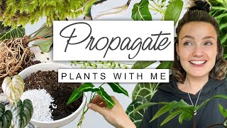 Propagate Plants With Me and Chat  Plants I'm Propagating UPDATES