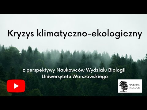 Wideo: Co kryje się pod lodem Antarktydy?