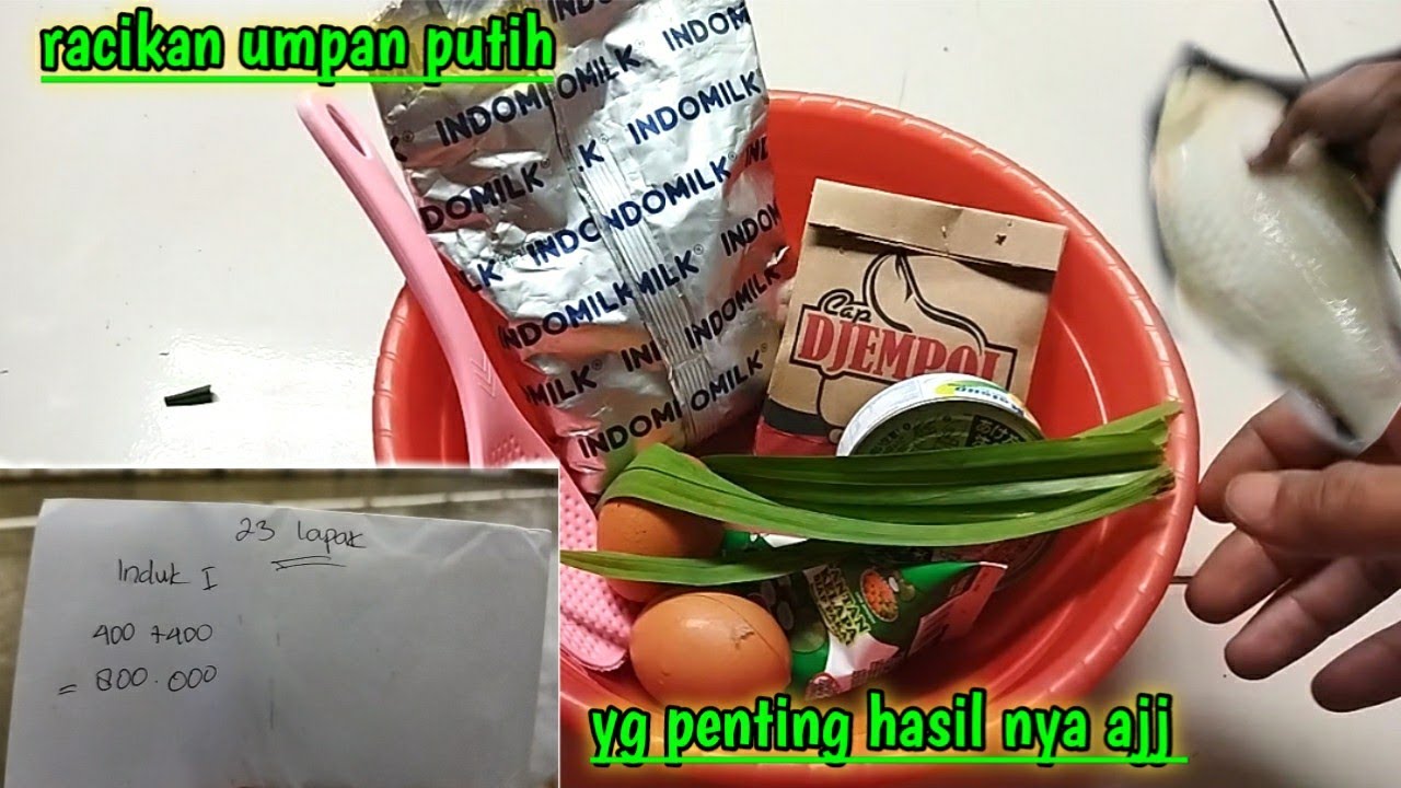 Racikan umpan putih ikan mas kukus susu dancaw, hasil juara pertama