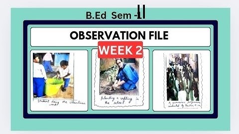 Observation file Sem 2 Part-3| 4 weeks school internship report #bbmku #vbu ‎⁨@LearnwithKriti01#like