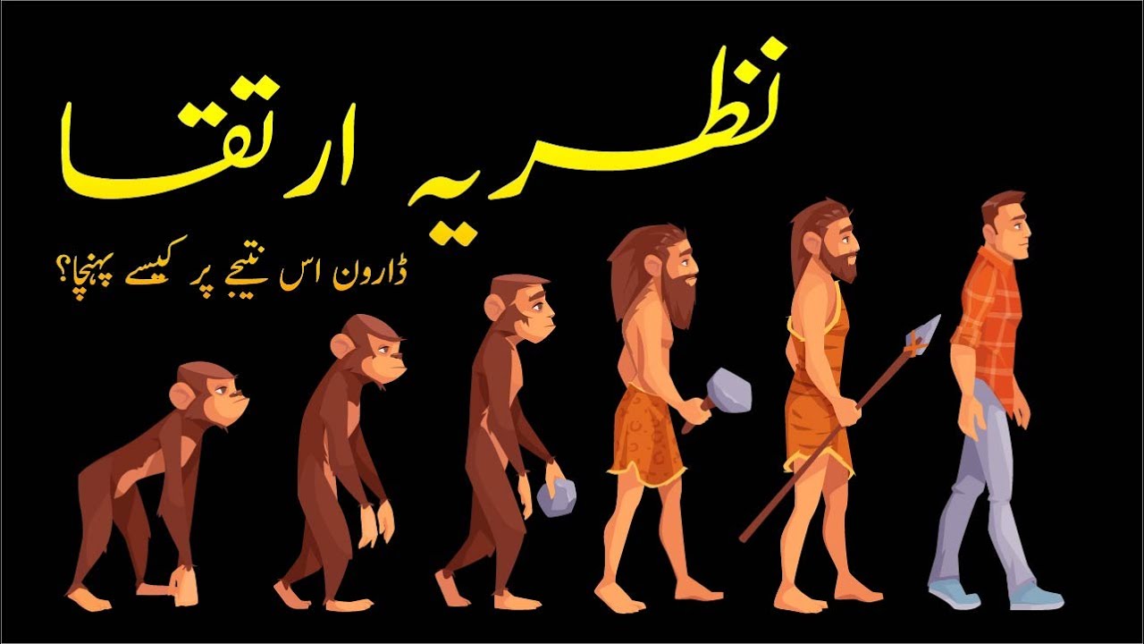 Theory of evolution how did darwin come up with it youtube
