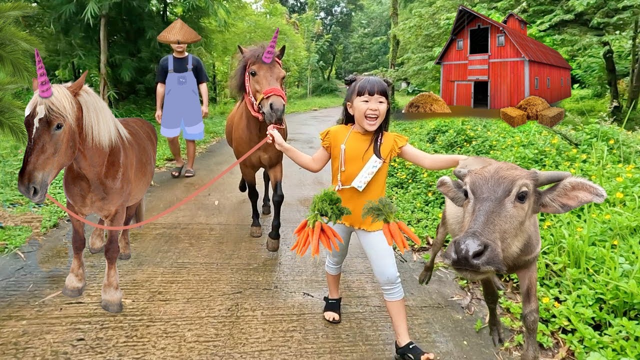 Jadi Gembala Kuda, Kasih Makan Sapi dan Monyet - Mengenal Binatang untuk Anak