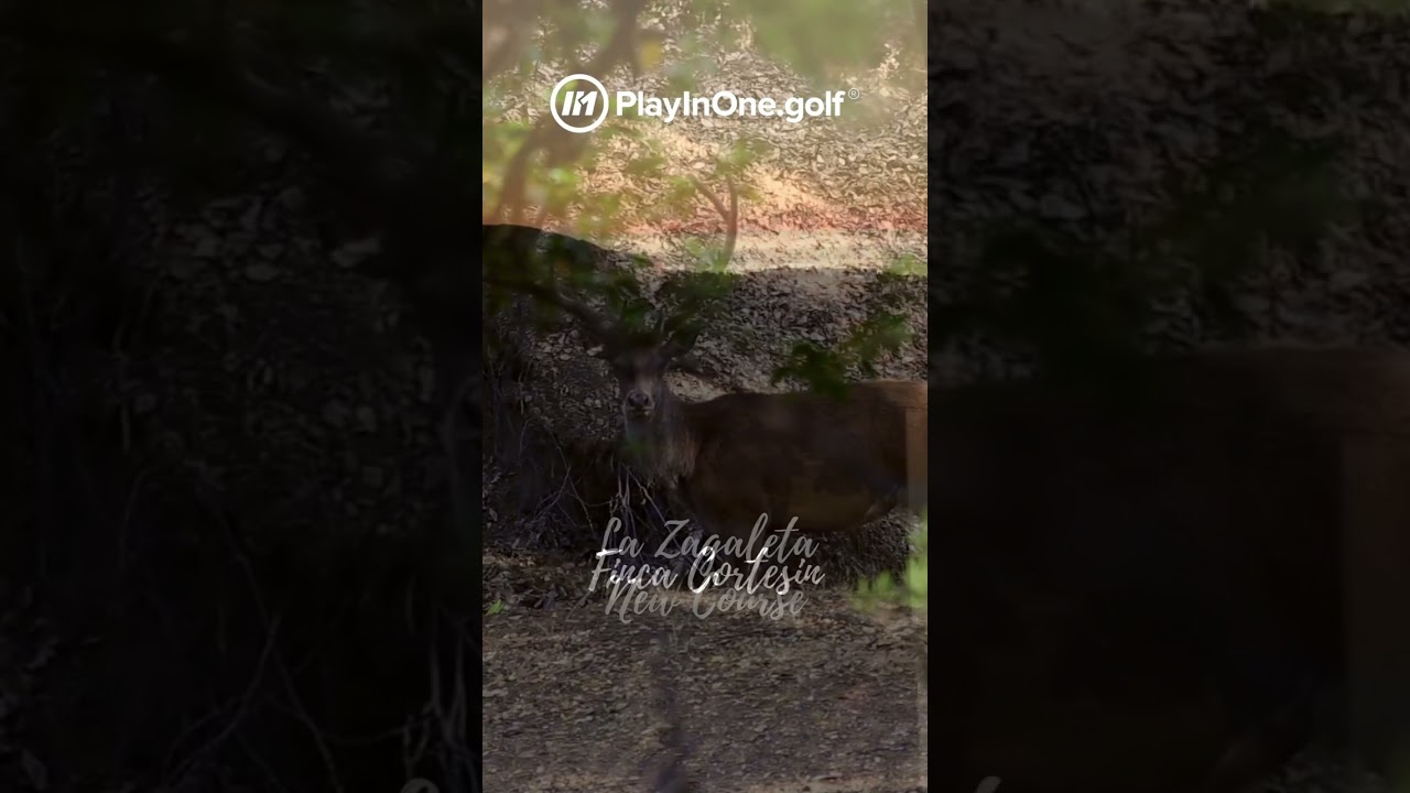 PlayInOne.golf - Destination Costa del Sol