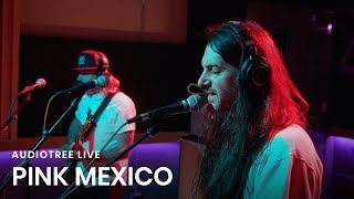 PINK MEXICO - Psycho Juice / P.O.D. / Buzzkill | Audiotree Live